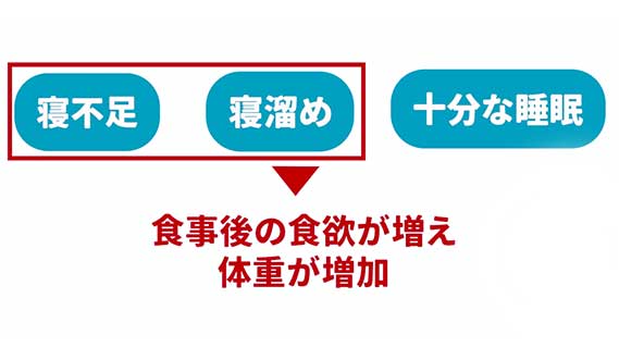 寝溜めの研究結果