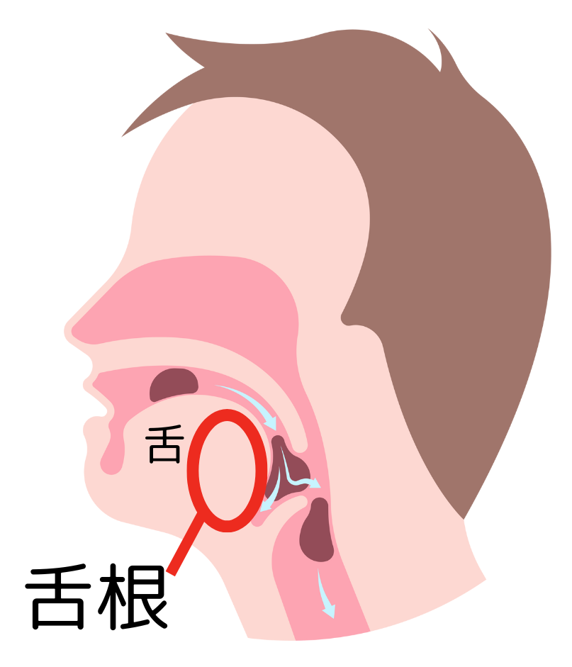 舌根