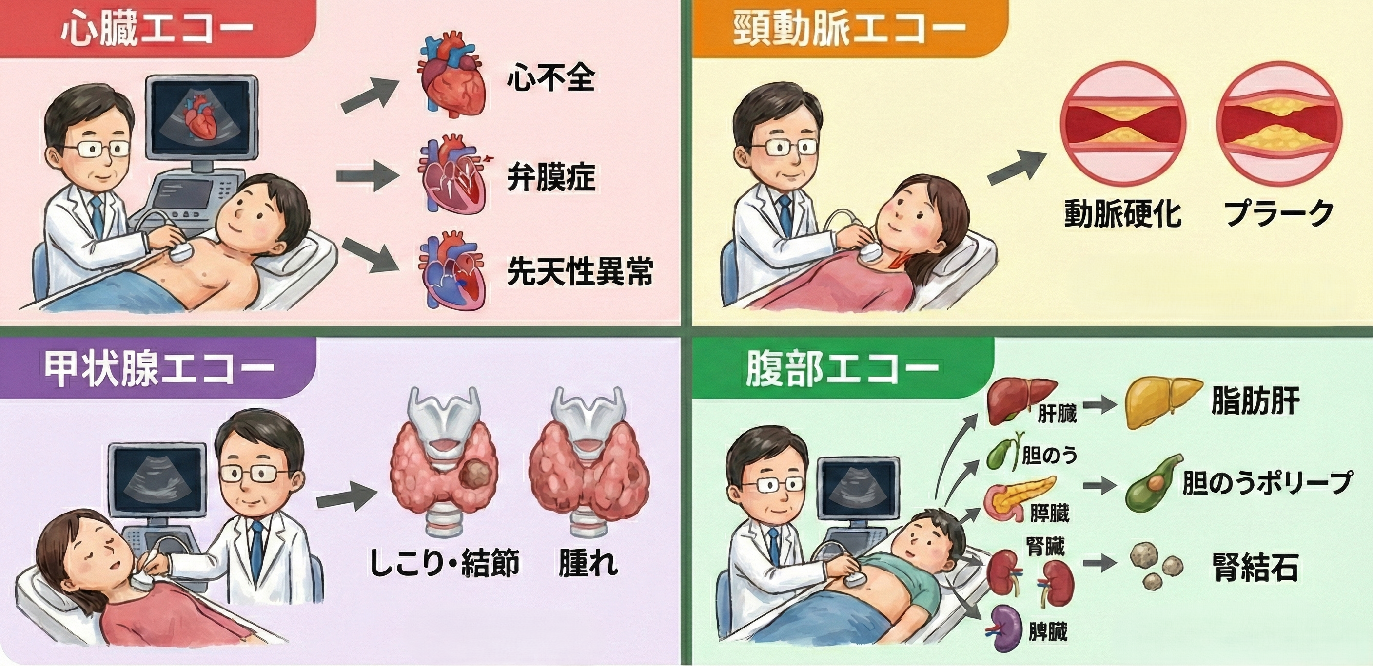 エコーでできることのイメージ