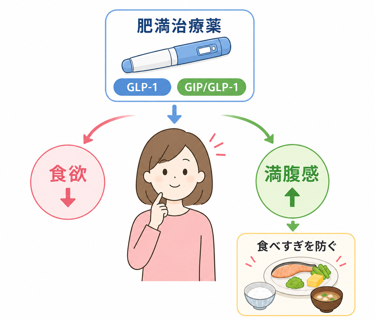 GLP-1受容体作動薬やGIP/GLP-1受容体作動薬は、食欲や摂取エネルギーに影響する薬剤として研究されています。