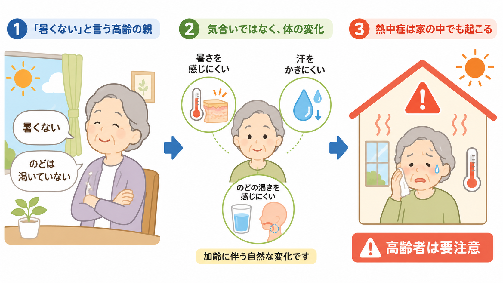加齢とともに皮膚の温度センサーが鈍くなり、汗をかく機能も低下する様子