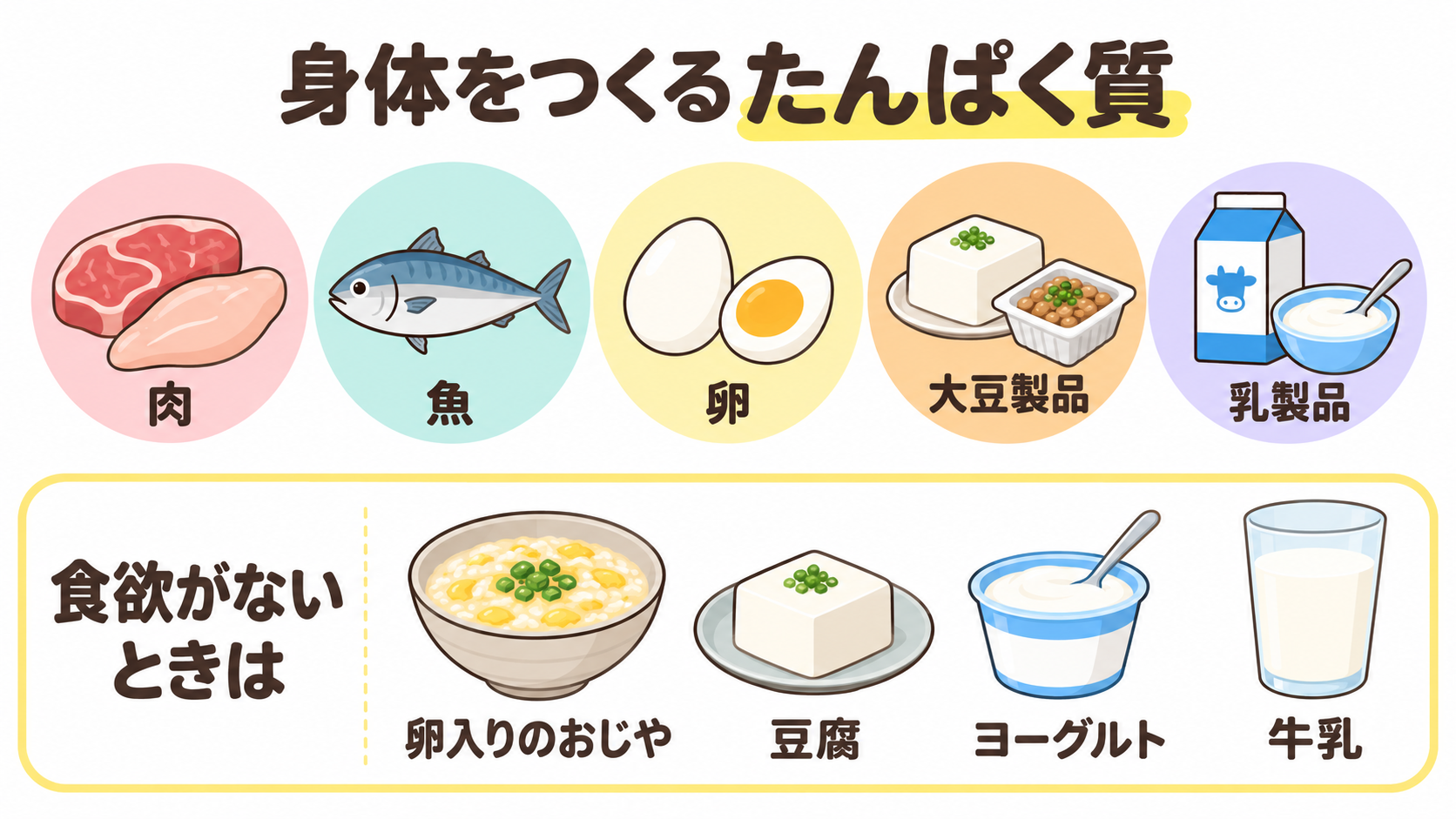たんぱく質を含む食品と、食欲がないときに食べやすい食品を示す図